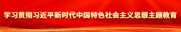 黄骚片视频学习贯彻习近平新时代中国特色社会主义思想主题教育